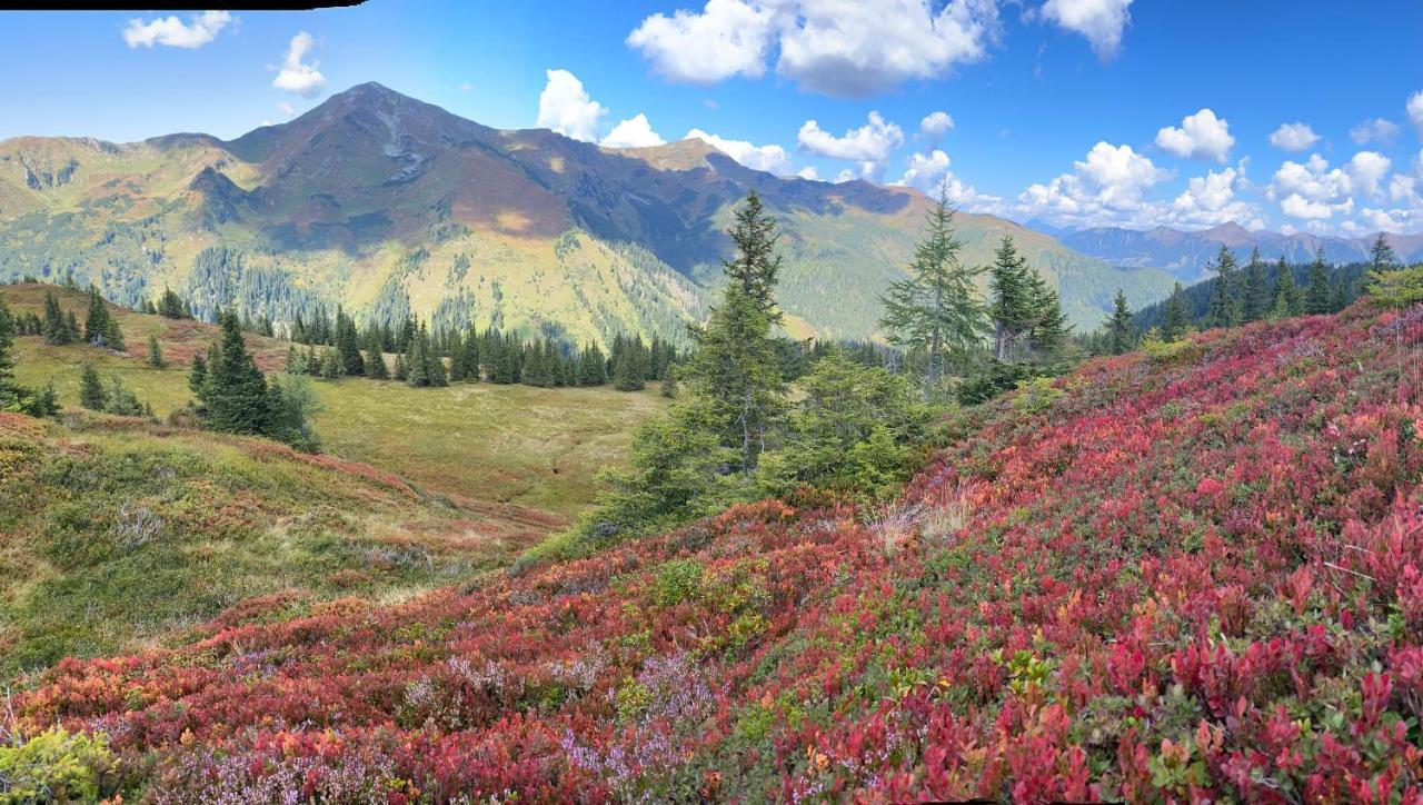 Alpengasthof Grobbauer Hotel Rottenmann Luaran gambar