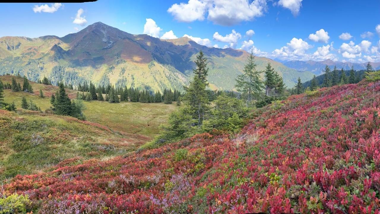 Alpengasthof Grobbauer Rottenmann Luaran gambar
