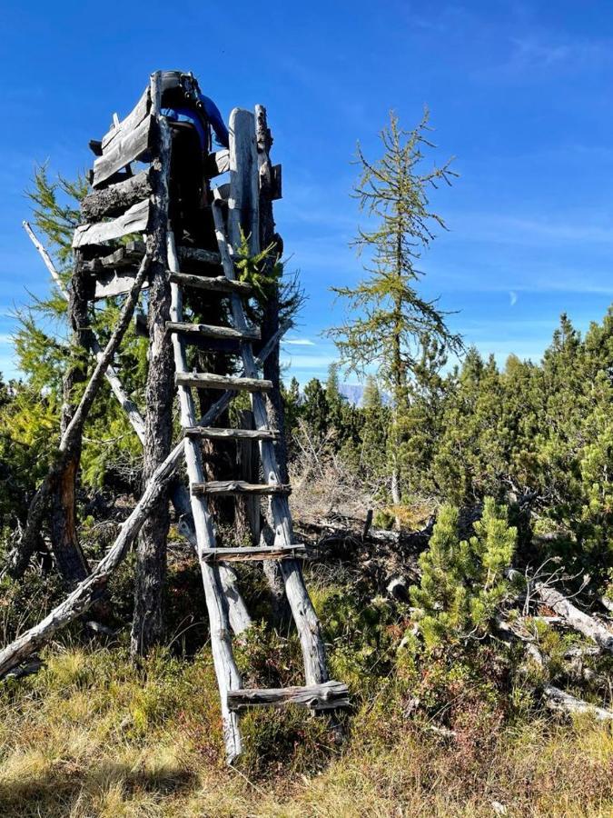 Alpengasthof Grobbauer Rottenmann Luaran gambar