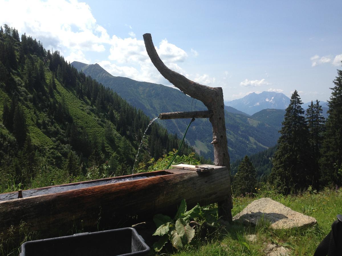 Alpengasthof Grobbauer Hotel Rottenmann Luaran gambar